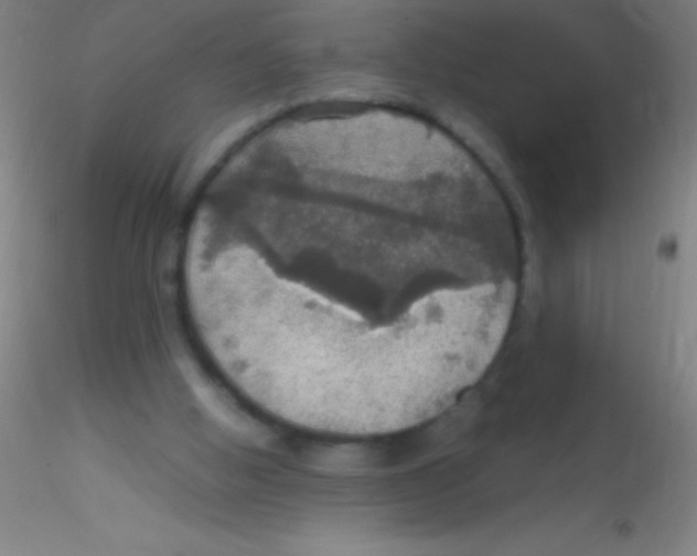 X0000115180058200911251406