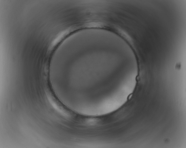 X0000115180059200911251406