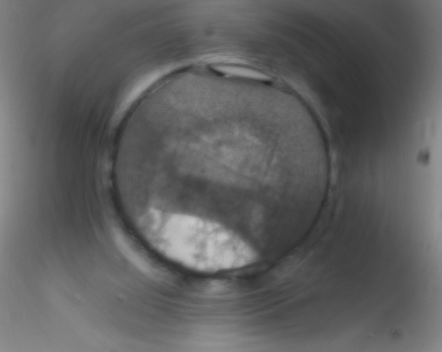 X0000115180060200911251406