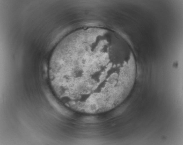 X0000115180061200911251406