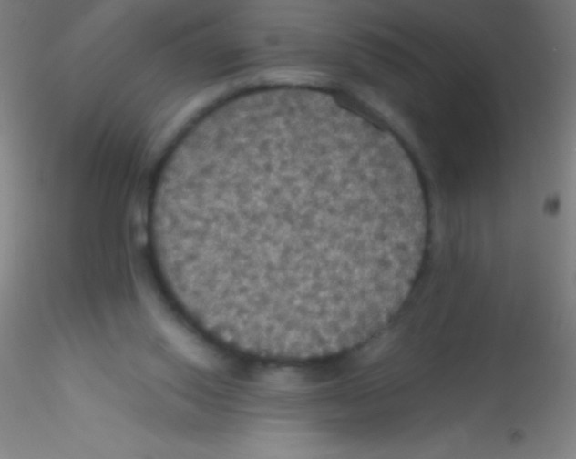X0000115180062200911251406