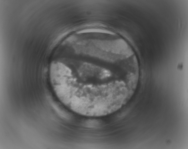 X0000115180063200911251406