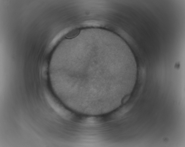 X0000115180064200911251406