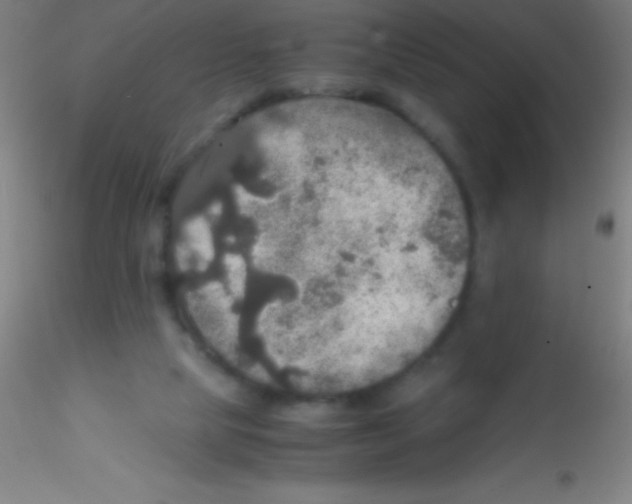 X0000115180065200911251406