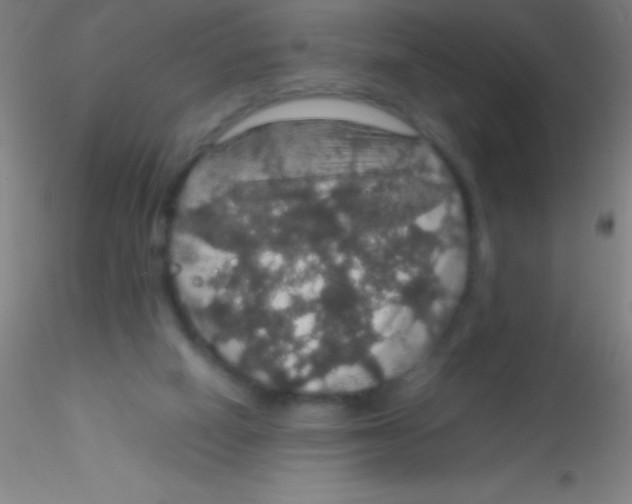 X0000115180066200911251406