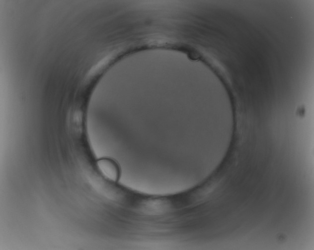 X0000115180067200911251406