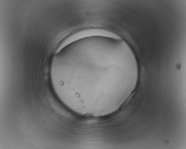 X0000115180068200911251406