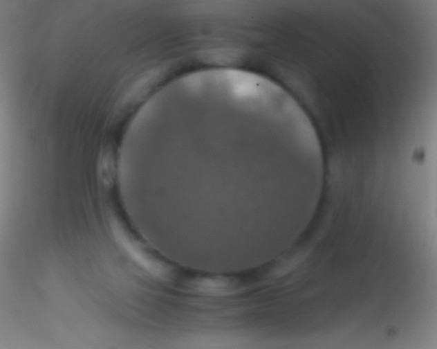 X0000115180069200911251406