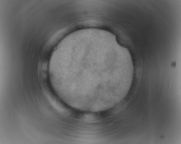 X0000115180070200911251406