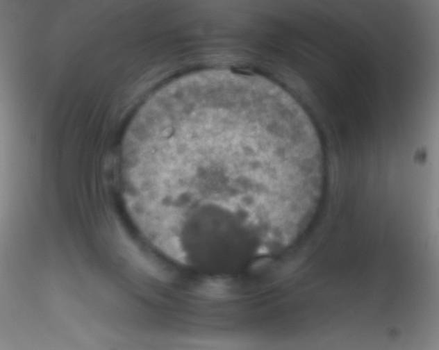 X0000115180071200911251406