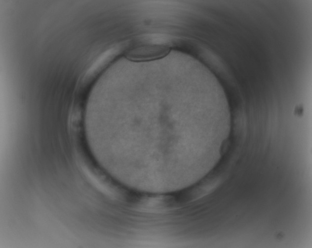X0000115180072200911251406