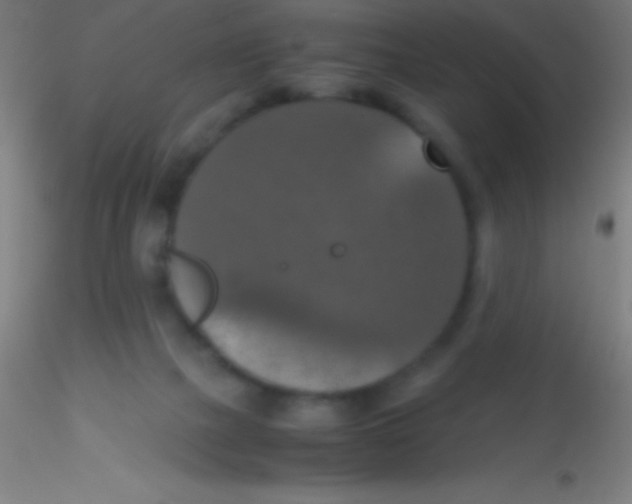 X0000115180073200911251406