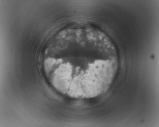 X0000115180074200911251406