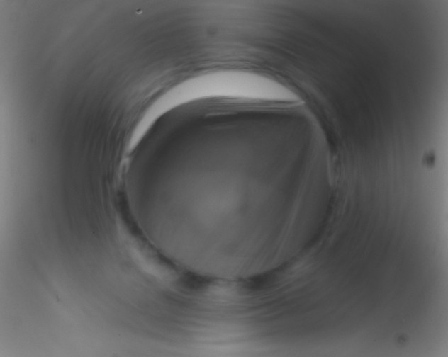 X0000115180076200911251406