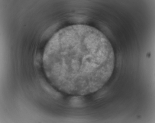X0000115180077200911251406