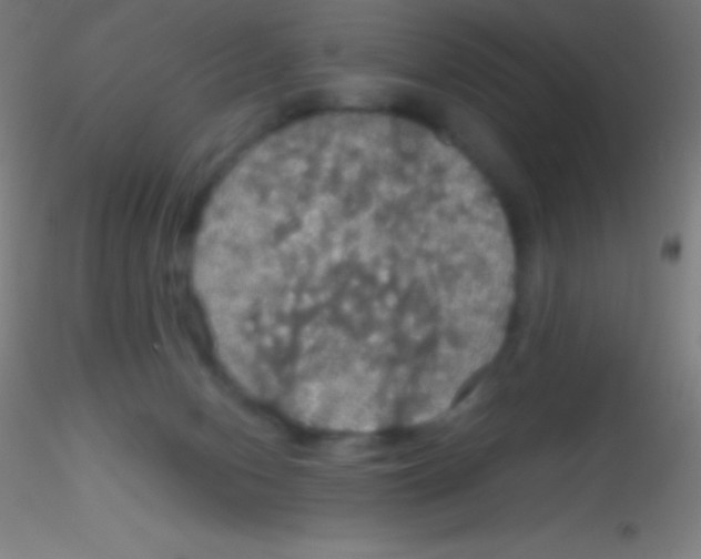 X0000115180078200911251406
