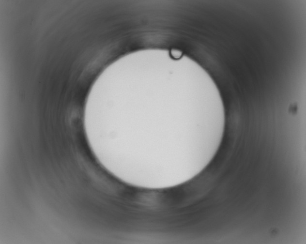 X0000115180079200911251406