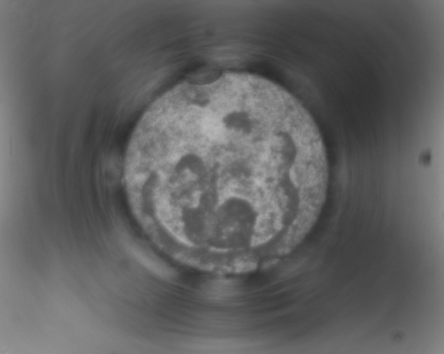 X0000115180081200911251406