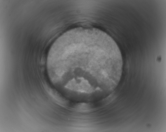 X0000115180082200911251406