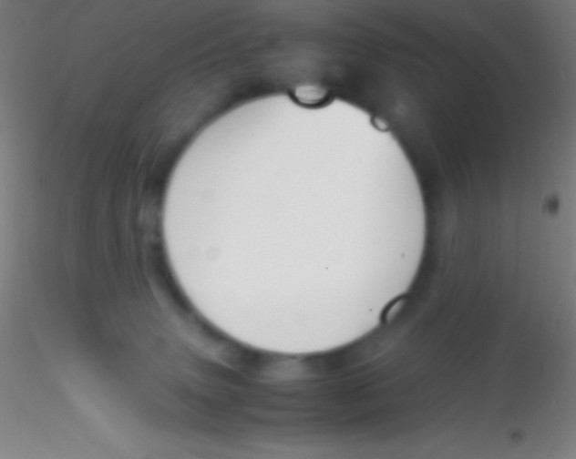 X0000115180083200911251406
