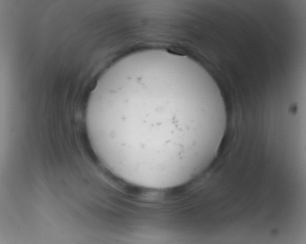 X0000115180084200911251406