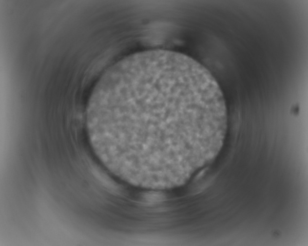 X0000115180085200911251406