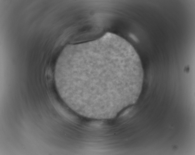 X0000115180086200911251406