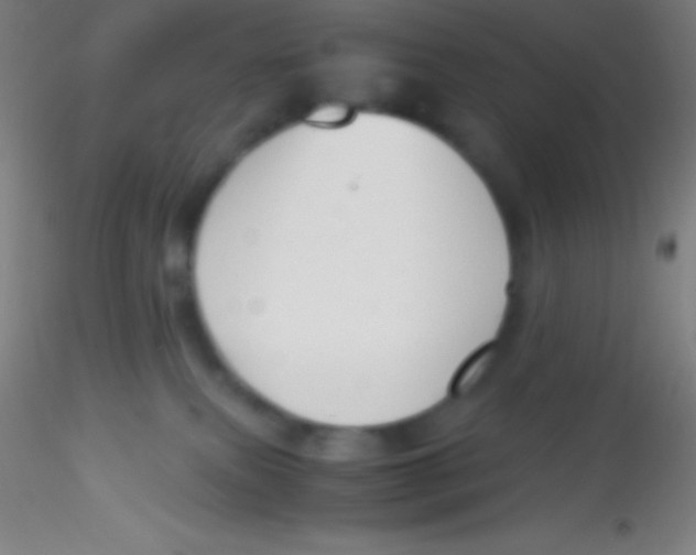 X0000115180087200911251407