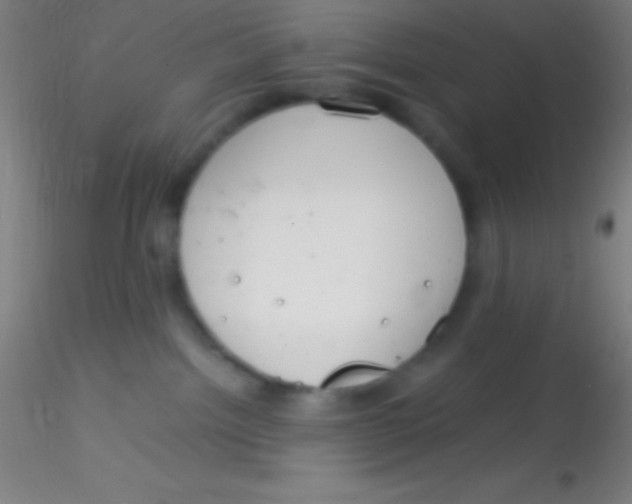 X0000115180092200911251407