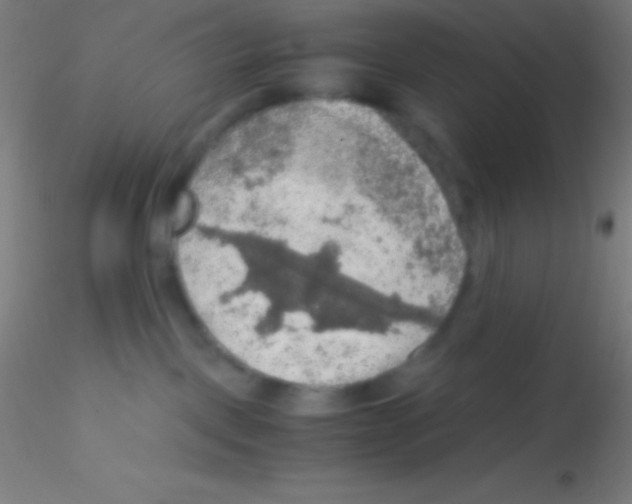 X0000115180093200911251407