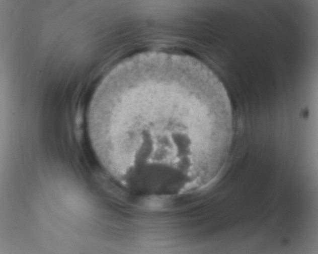 X0000115180094200911251407