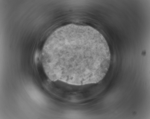 X0000115180095200911251407