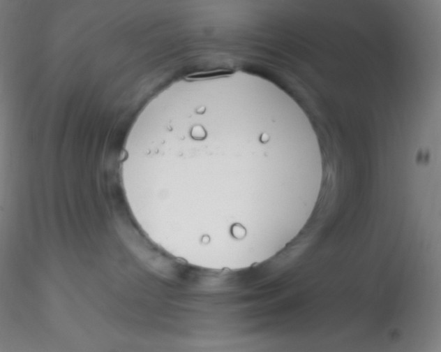 X0000115180096200911251407