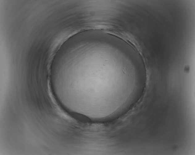 X0000115180097200911251406