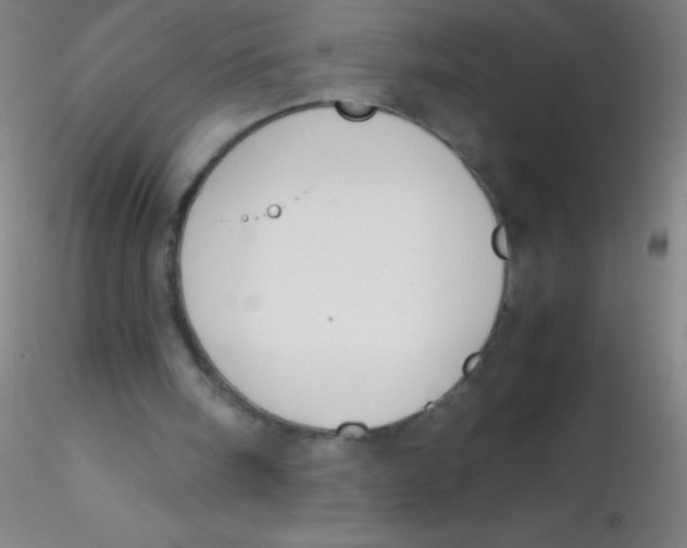 X0000115180098200911251406