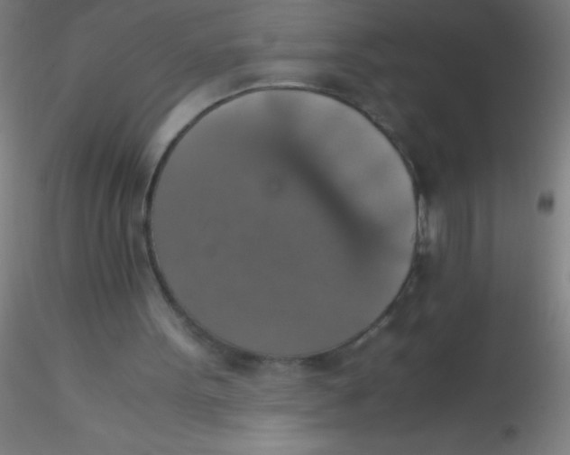 X0000115180099200911251406