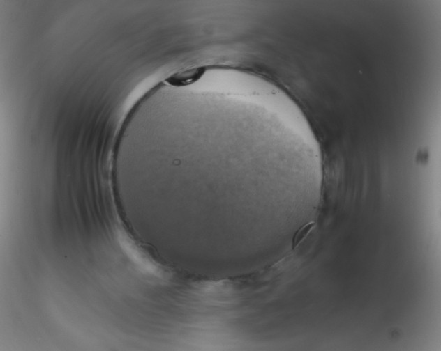 X0000115180100200911251406