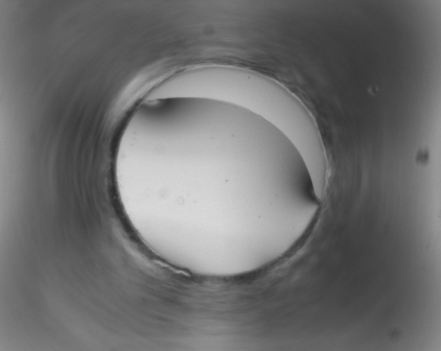 X0000115180101200911251406