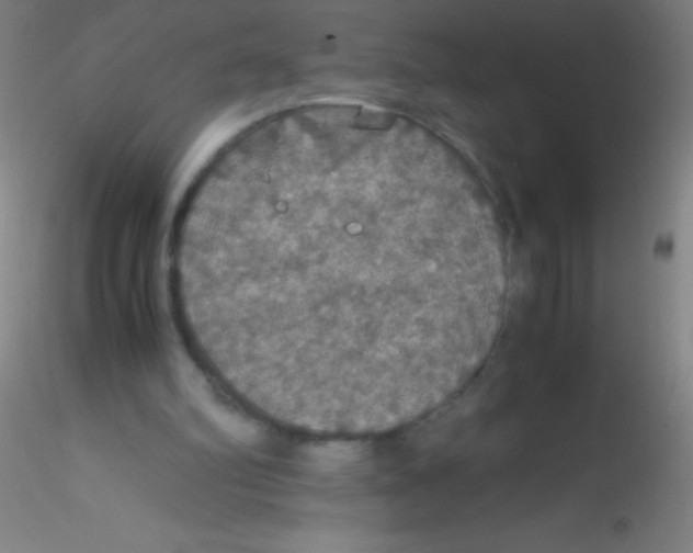 X0000115180102200911251406