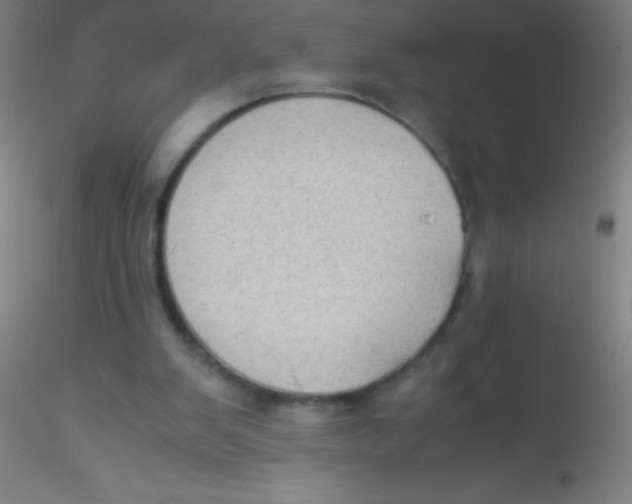 X0000115180103200911251406