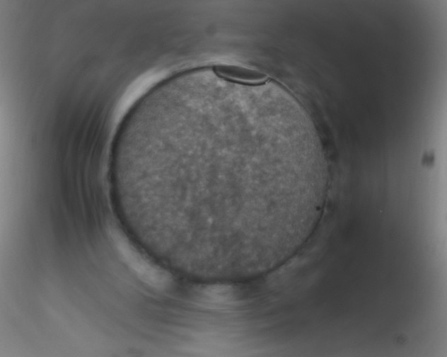 X0000115180104200911251406