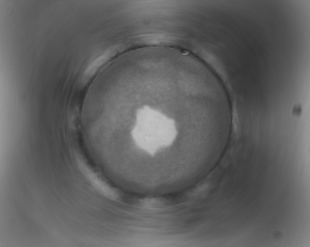 X0000115180105200911251406