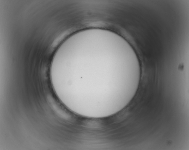 X0000115180106200911251406