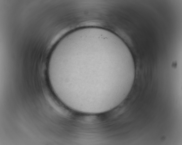 X0000115180108200911251406