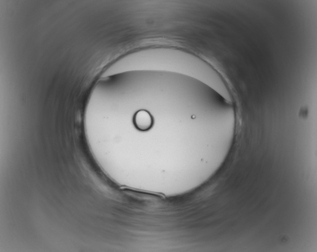 X0000115180109200911251406