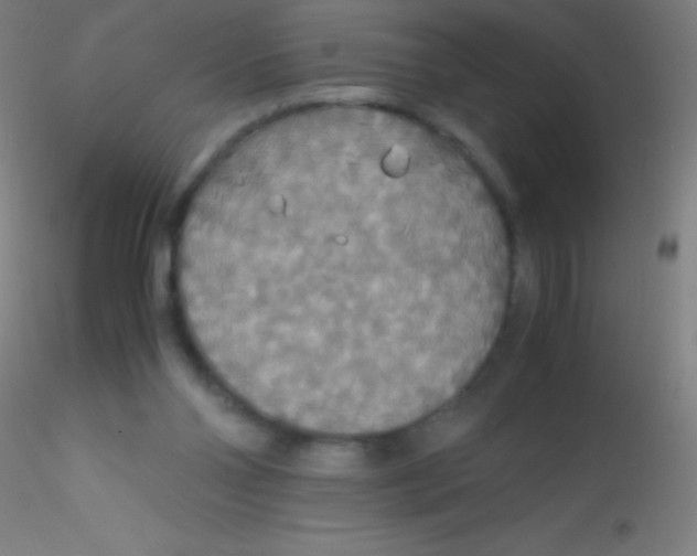 X0000115180110200911251406