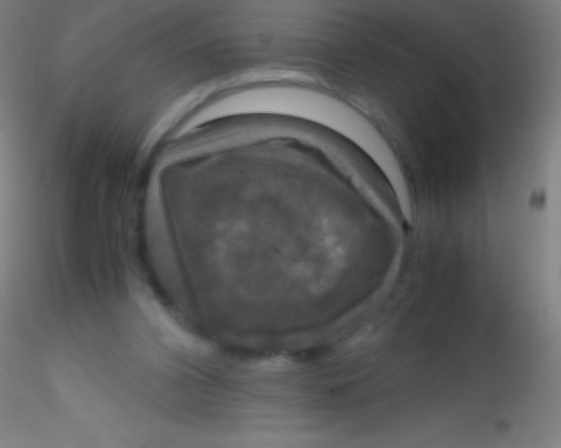 X0000115180112200911251406
