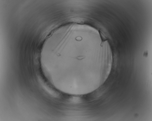 X0000115180114200911251406