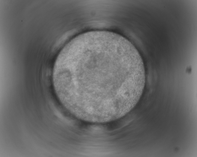 X0000115180115200911251406