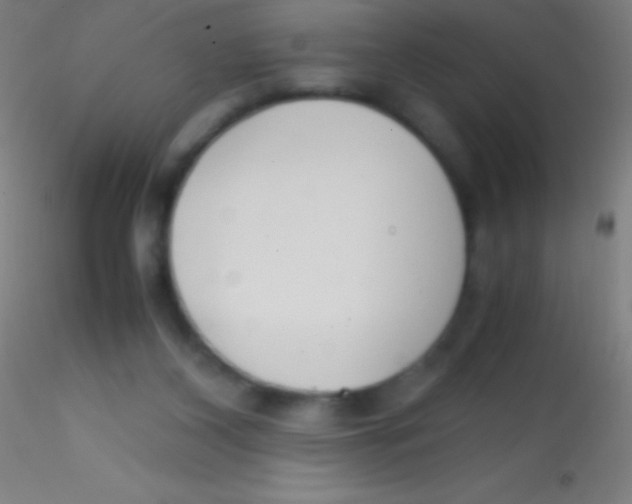 X0000115180116200911251406